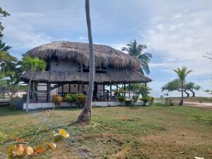 atropical hut with a straw roof and a palm tree at Cabaña ecológica frente al mar en isla fuerte in Isla Fuerte