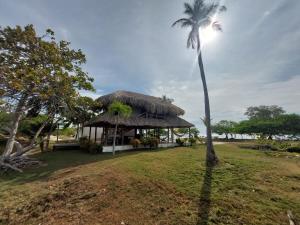 a hut with a palm tree in front of the water at Cabaña ecológica frente al mar en isla fuerte in Isla Fuerte +23 photos