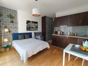 Kuchnia lub aneks kuchenny w obiekcie City Center Studio Apartments
