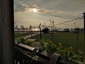 a view of a park with a giraffe from a window at Florya Novi Hotel in Istanbul