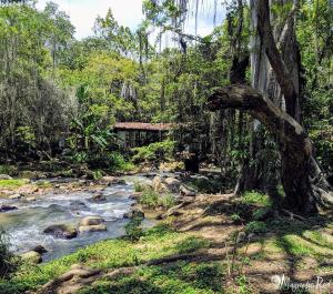 Příroda nedaleko apartmánu