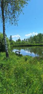 a bench sitting in the grass next to a lake at Ganu Namiņš in Ķurbes Ciems +24 photos