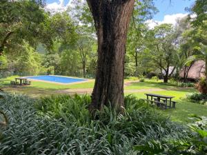 two benches sitting next to a tree in a park at Ons Plek Accommodation in Hazyview