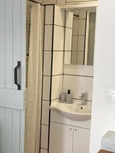 a bathroom with a sink and a mirror at Apartman Zeljka in Pula