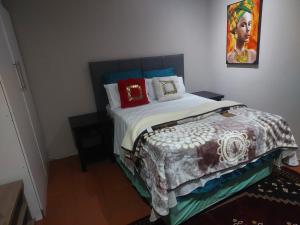 プレトリアにあるAmerican horsesの壁に絵が飾られたベッドのある寝室