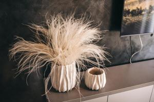 Foto sihtkohas Pasohlávky asuva majutusasutuse Apartmány DVĚ BOBULE 1 kk galeriist
