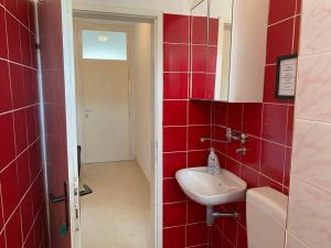 a bathroom with a sink and a red tiled wall at Green Apartment in Sreser