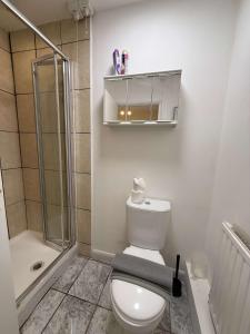 a bathroom with a toilet and a shower at Chelmsford 5 Bedroom Large House with Garden & Parking in Chelmsford