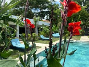 Piscina di Hotel Good Life o nelle vicinanze
