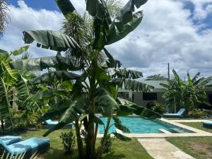 Piscina di Hotel Good Life o nelle vicinanze