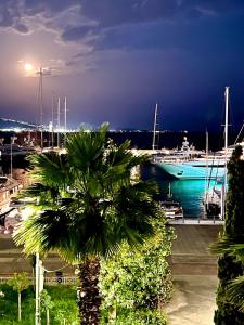 a palm tree in front of a marina with boats at Zea Sea View Apartment in Piraeus