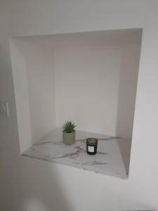 a plant sitting on a shelf in a white wall at T2 MEUBLÉ plein centre-ville in Fontenay-le-Comte