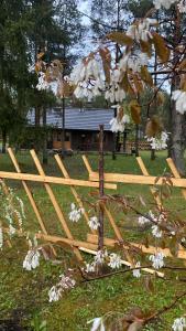 Gallery image of Kuldvitsa puhkemaja saunaga in Upa