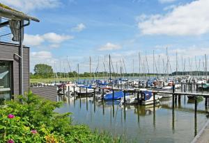a bunch of boats docked at a marina at Ferienwohnungen auf Rügen und nahe Stralsund in Poppelvitz