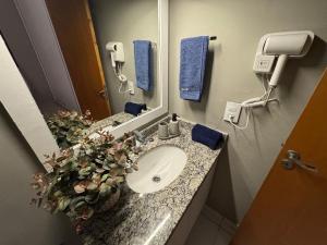 a bathroom with a sink and a mirror at Rio das Pedras Loft in São Carlos +14 photos