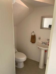 a bathroom with a toilet and a sink at Casa con jardín y piscina ideal para el fin de semana in Temimilcingo