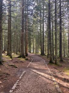Paesaggio naturale nelle vicinanze dell'affittacamere