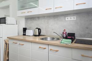 Kuchyňa alebo kuchynka v ubytovaní Centrum Charm Apartment