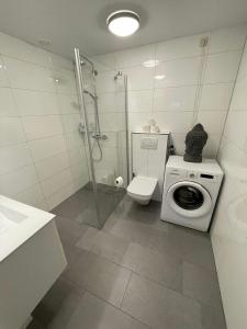 StavenisseにあるZeeuwse Rust & Zonのバスルーム(洗濯機、トイレ付)