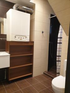 a bathroom with a toilet and a sink and a shower at Domek Nadmorski przy plaży Ustka in Ustka