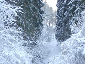 Holiday Home in Hellenthal Forest Retreat v zimě