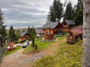 a log cabin with a car parked in front of it at Cabana Apuseni N&D in Mărişel