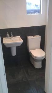 a bathroom with a white toilet and a sink at Parkway Chalet - Pennal, Powys, Wales nr Aberdovey in Pennal +8 photos