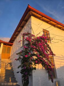 Gallery image of Guest House Luiza in Borsh