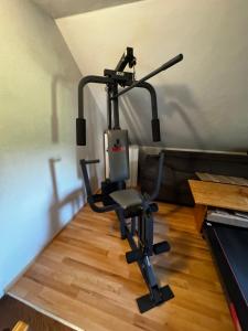 Fitness centrum a/nebo fitness zařízení v ubytování Dobčický dům