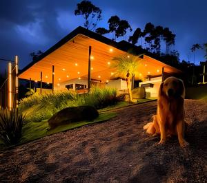 a dog sitting in front of a house at night at Acampamento do Bosque in Rodeio
