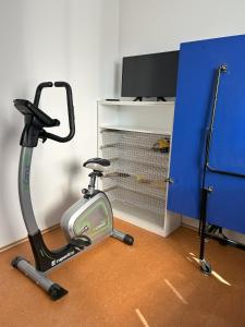 Fitness centrum a/nebo fitness zařízení v ubytování Dobčický dům