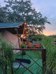 布加La Villa Glamping的田野上灯的帐篷