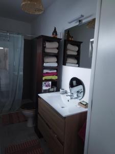 Un baño con lavabo, inodoro y espejo. en Bali cocoon, en Lieja