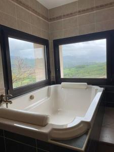 ヴィルヌーヴ・ド・ベルグにあるChambres d'hotes Belle Etoile Ardècheのバスルーム(バスタブ、窓2つ付)