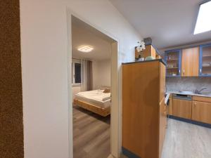 Kuchyň nebo kuchyňský kout v ubytování Ferienwohnung in Krumpendorf am Wörthersee