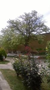 Paisaje cerca de este hotel