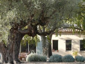 Zahrada ubytování Bastide Sainte Trinide