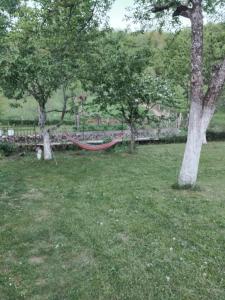 a hammock in a park with trees and a bench at Apartmani Nurka in Orašac +6 photos