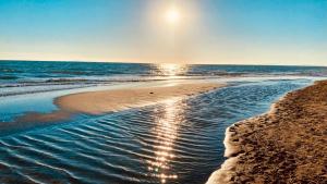 Phong cảnh thiên nhiên gần căn hộ