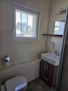 a bathroom with a toilet and a sink and a window at Charmantes Studio Ferienhaus mit Garten & Netflix Nähe Spreewald in Heinersbrück +18 photos