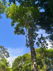 Landskap semula jadi dekat dengan perkhemahan mewah