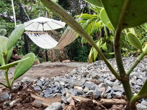 Zahrada ubytování Sloth View Glamping