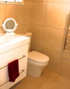 a bathroom with a toilet and a sink and a mirror at Valhalla North & Northern Lodge - waterfront, rural, semi-isolated in Kerikeri +12 photos