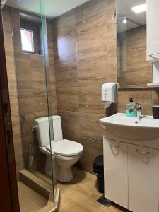 a bathroom with a toilet and a sink at Princess Jana Apartments in Selišta +29 photos