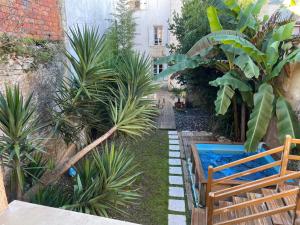 Κήπος έξω από το Chambre cosy dans le Centre de Blaye - clim & WiFi