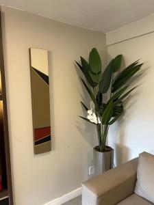 een woonkamer met een vaas met een plant aan de muur bij Lago sul - Daher in Brasilia