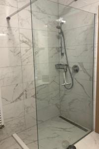 a shower with a glass door in a bathroom at Family-friendly apartments with swimming pool Mandre, Pag - 24196 in Kolan