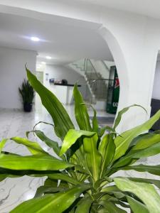 Fotografie z fotogalerie ubytování Lago Hotel v destinaci Estación El Salto