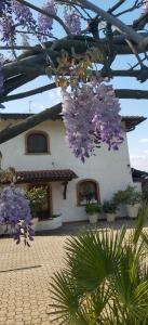 Zahrada ubytování Villa FioccoMare