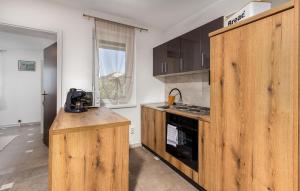 a kitchen with wooden cabinets and a counter top at Nice Apartment In Barbat With Wifi in Barbat na Rabu